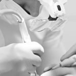 regeneracion dental