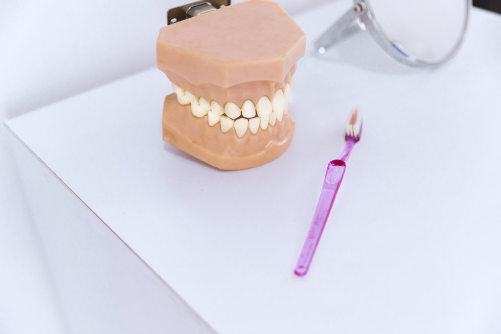 Modelo de dientes junto a un cepillo dental