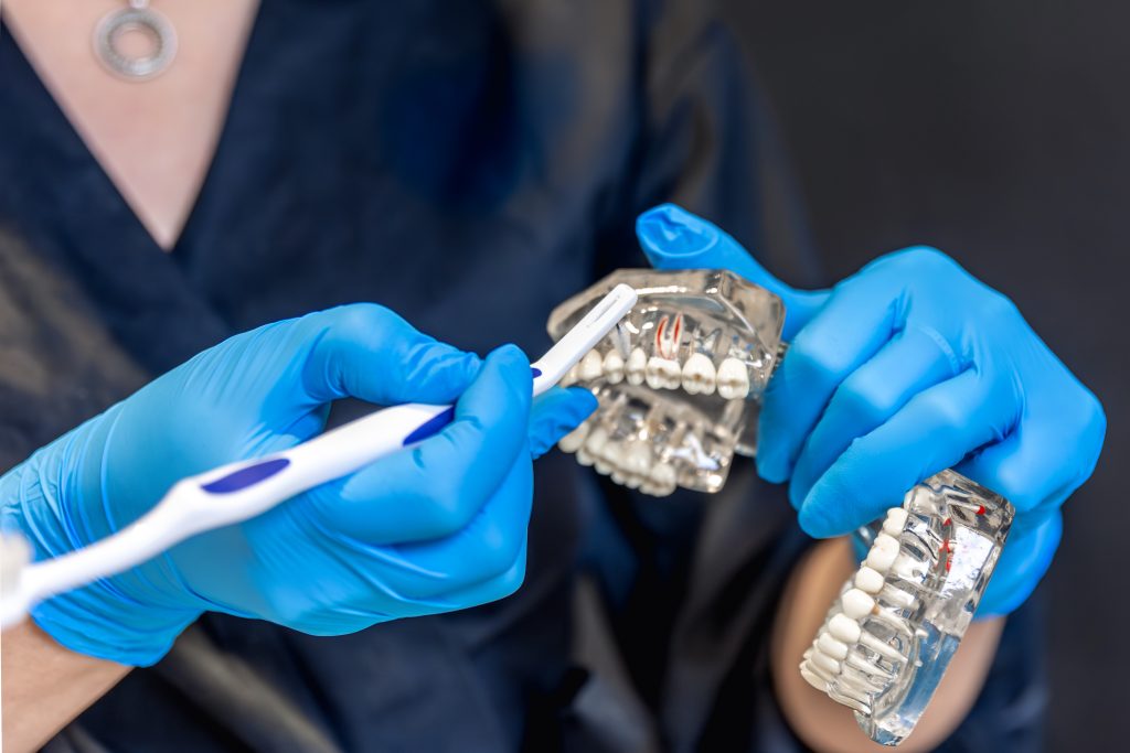 Odontologa sosteniendo un modelo dental